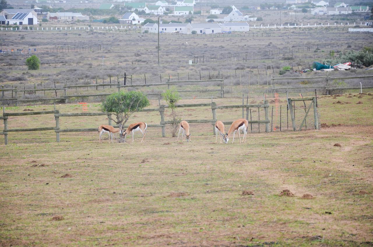 The Stables Accommodation Langebaan Exteriér fotografie