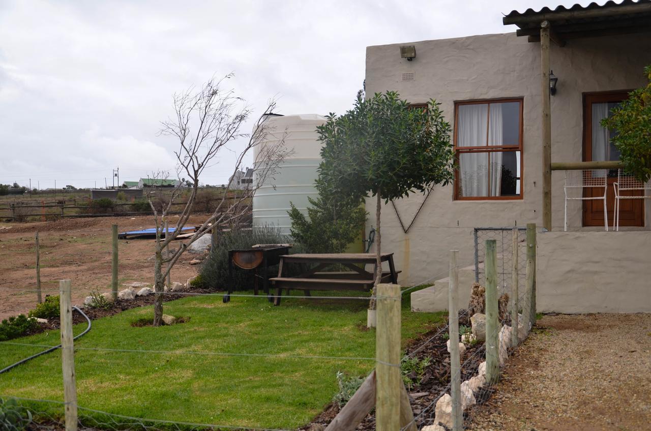 The Stables Accommodation Langebaan Exteriér fotografie
